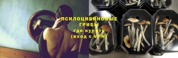 мяу мяу мука Баксан