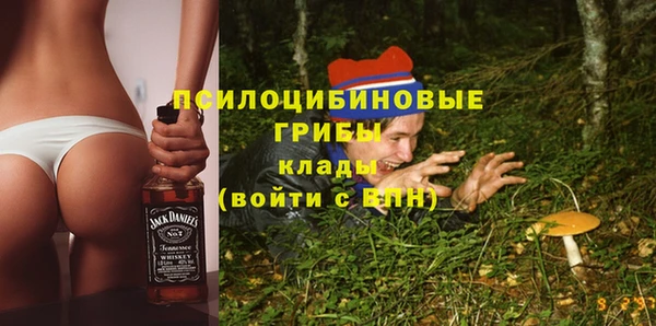 прущие грибы Балабаново