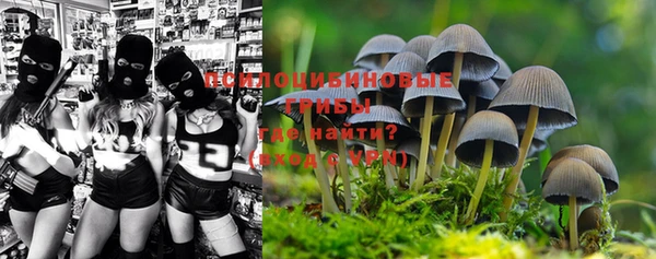 a pvp Балахна