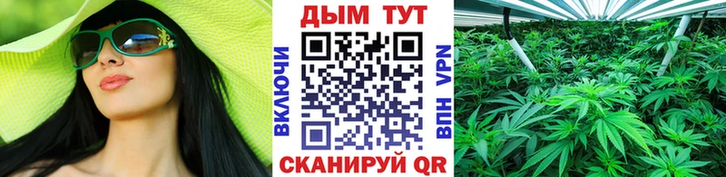 Канабис конопля  Соль-Илецк 
